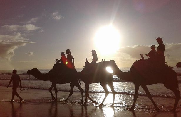 Essaouira: 2H camel/pick up and drop off including