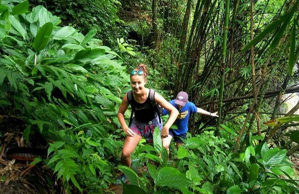 One Day Hiking and Elephant experience by Chiang Mai Elephant Home