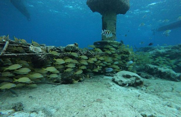 Snorkeling Experience Cozumel only from Playa del Carmen