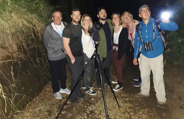 Monteverde Night Tour