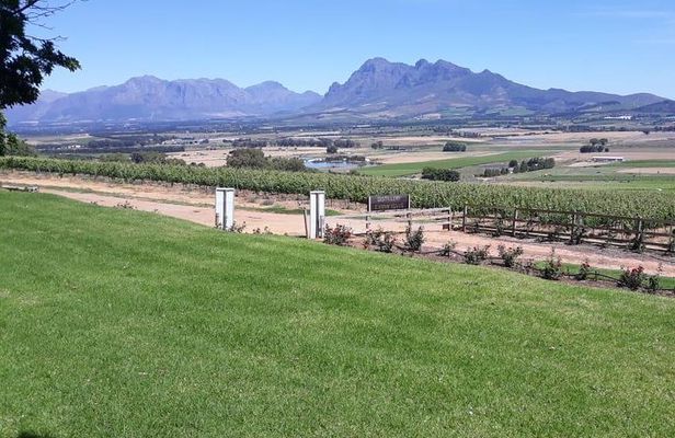 Full Day Wine Tasting in Stellenbosch, Franschoek & Paarl fees included