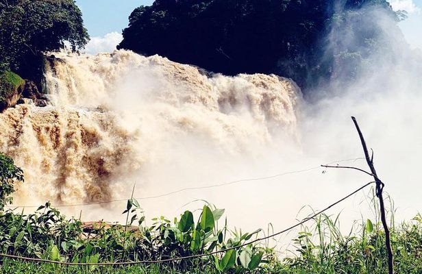 4 days Zongo falls, Bonobos and Kinshasa city experience