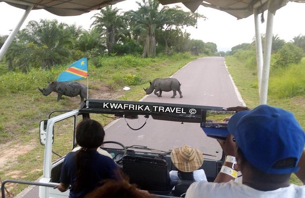 3 days Kinshasa Congo River and N’sele park experience