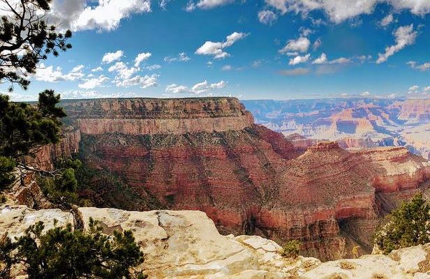 Grand Canyon National Park South Rim Private Tour Experience