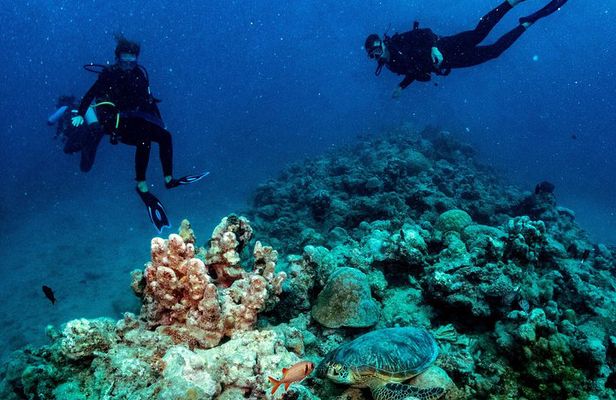 Exploration dives for experienced divers