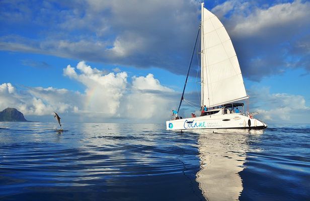 WEST : OCÉANE Private full day cruise to Ile aux Benitiers