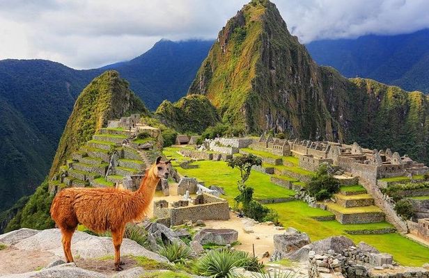 Excursion to MachuPicchu from Cusco with lunch | Private Service|