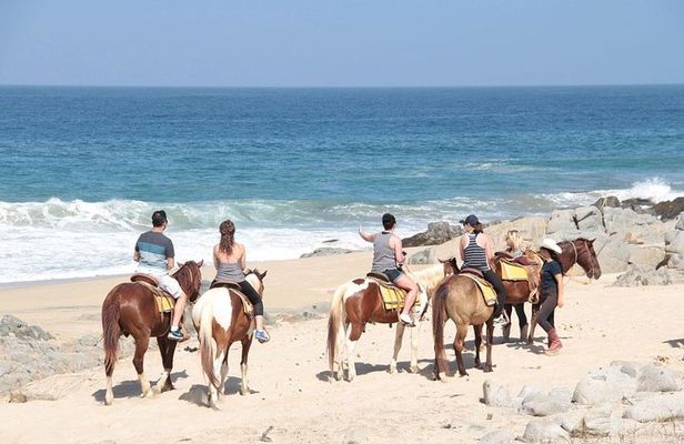 Beach & Desert Horseback Tour