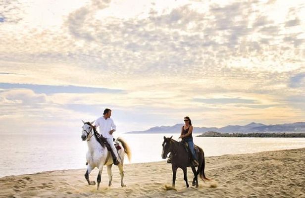 Horseback Riding on The Beach and Through The Desert!