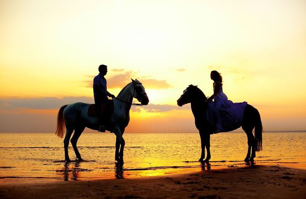 Love is in the air! Private horseback ride on the beach and sunset dinner!