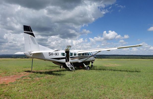 Mikumi National Park From Zanzibar Flying Option Day Trip