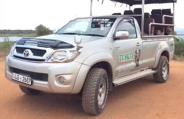 Udawalawa Full day Jeep Safari