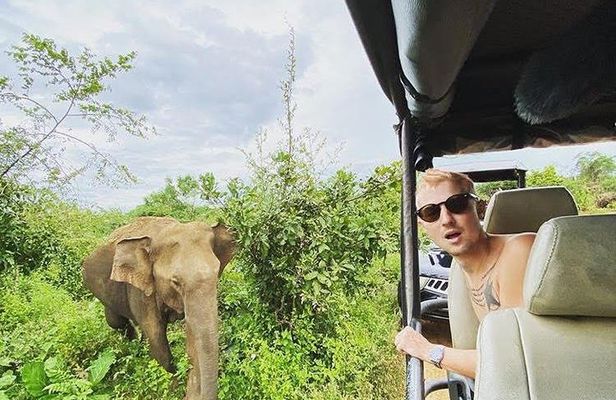 Udawalawe National Park - Full Day Safari Tour