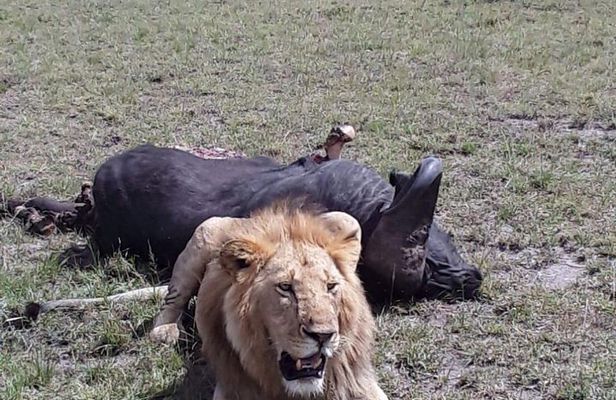 5 days maasai mara -lake naivasha-lake nakuru