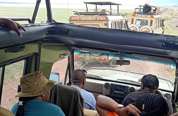 Ngorongoro National Park and Game Drive: Guided Day Tour from Arusha