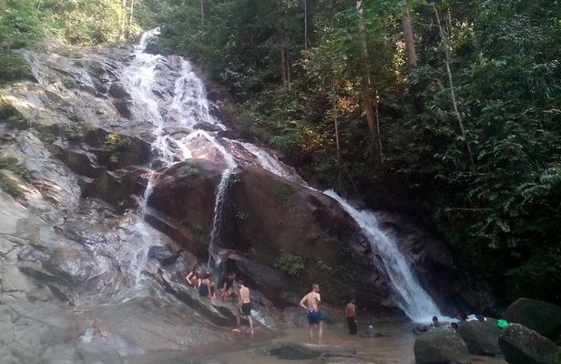 Rainforest-Cascading Waterfall, Batu Cave,Hotspring(Private Tour)