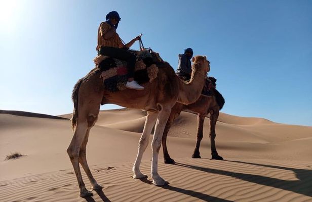 2 days Zagora Desert Tour from Marrakech