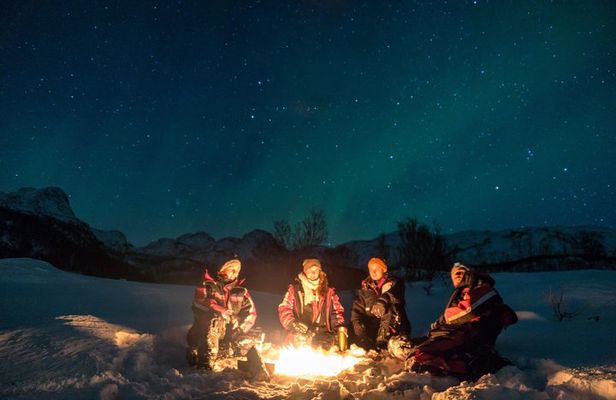 Northern Lights tour with Alta Adventure