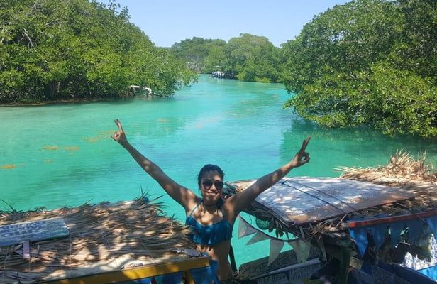 East End Tour (Mangroves, Punta Gorda, Port Royal) with Snorkeling Option