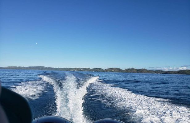La Parguera Private Boat Charter