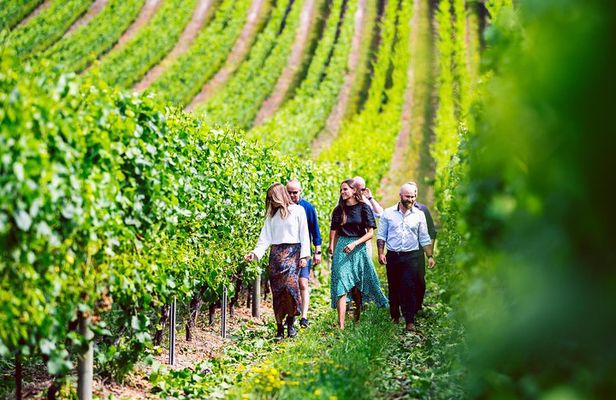 Tasmanian Premium Wine Tour with Tasmanian Cheese Platter