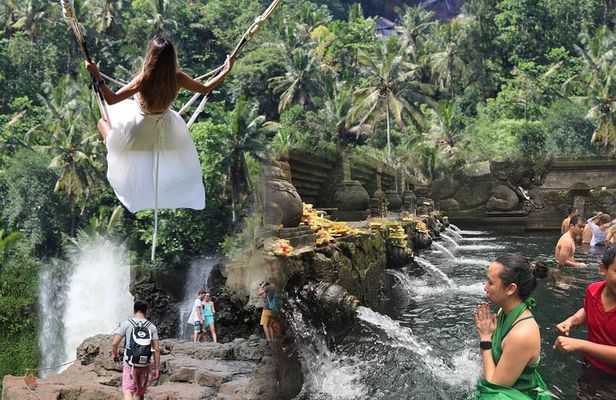 Full day Tour to Best of Ubud with jungle swing