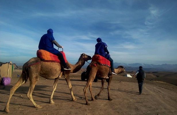 Quad bike & Camel ride Agafay & dinner at Chouf L’Or Restaurant