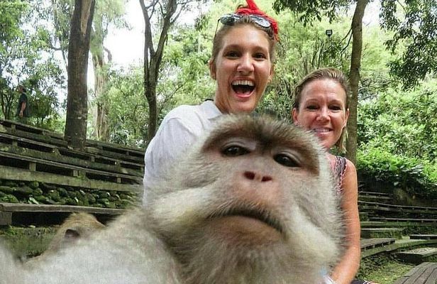 The Best Places to Explore Bali For 2 Days