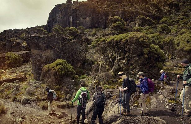 6Days _Hiking _Machame _Route _Kimanajaro _Mountain