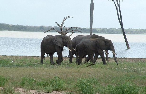 2 Days Morogoro- Selous Game Reserve(Nyerere national park)