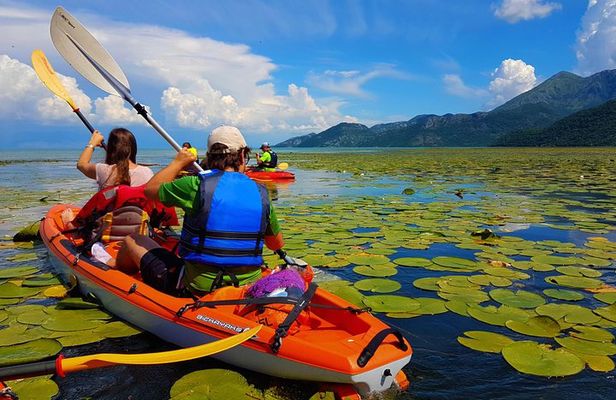 Kayak Guided Tour Skadar lake - Adventure in National park