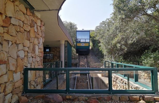 Cape Town:Private Tour Table Mountain, Penguins&Cape of Good Hope