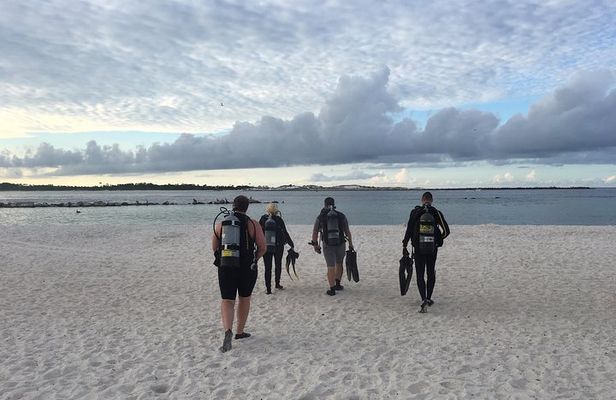 Small Group Guided Shore Dives in St. Andrews State Park, Florida