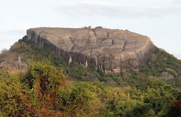 Pidurangala Rock All Inclusive Day Tour From Colombo