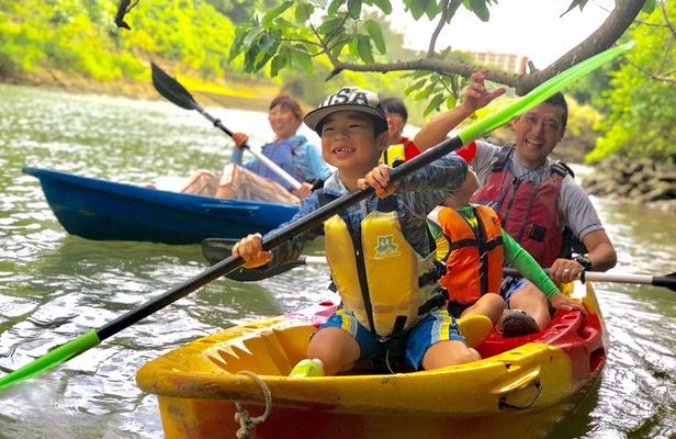 Mangrove kayaking to enjoy nature in Okinawa