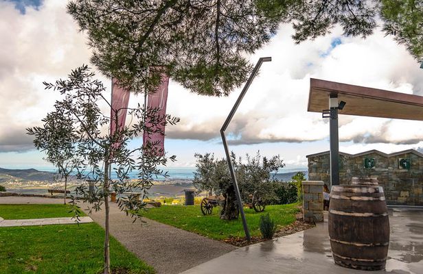 Wine Fountain Tour from Koper
