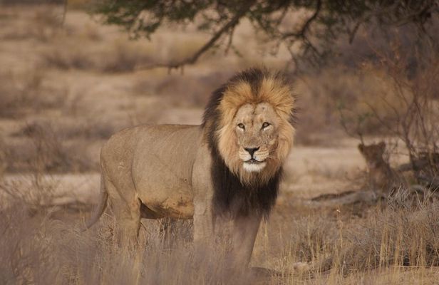 6 Day Private Guided Accommodated Namibian Loop