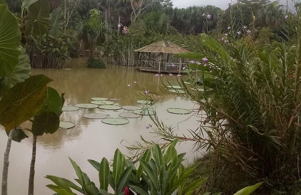 Full day tour amazon river 2020