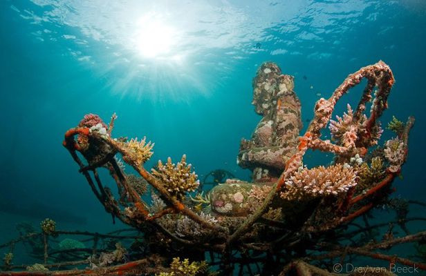 Discover Scuba Diving in Pemuteran at the Biorock site,1 shore dive all included
