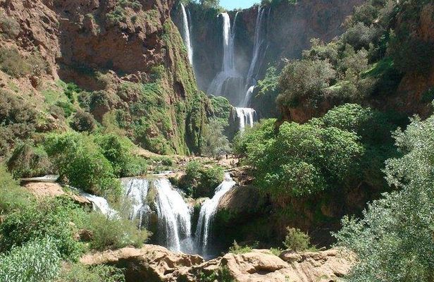 Ouzoud Waterfalls Shared Group Day Trip from Marrakech