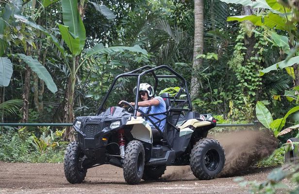 Half Day Jungle Buggies in Bali with Guide