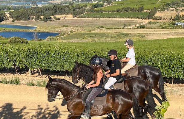 2h – Horse Trail