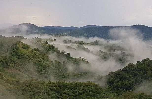 The 4x4 Mountain Tour of the Paramin Hills