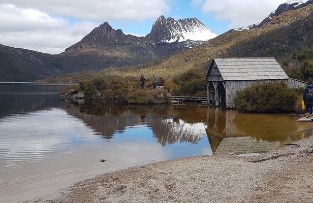 Cradle Mountain Sightseeing Tour from Devonport or Burnie
