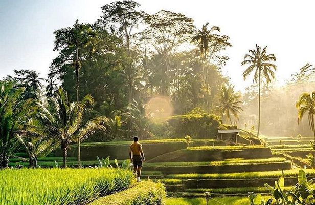 Best of Ubud - Full day Tour + FREE WI-FI