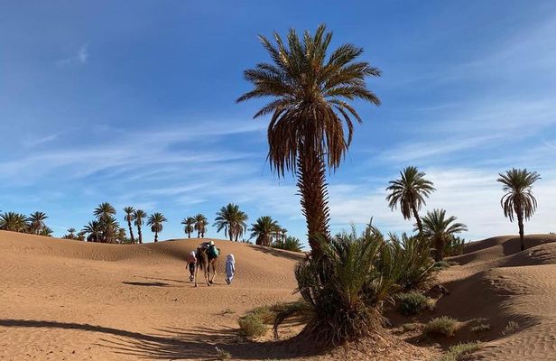 3-day trek - In the shade of palm trees