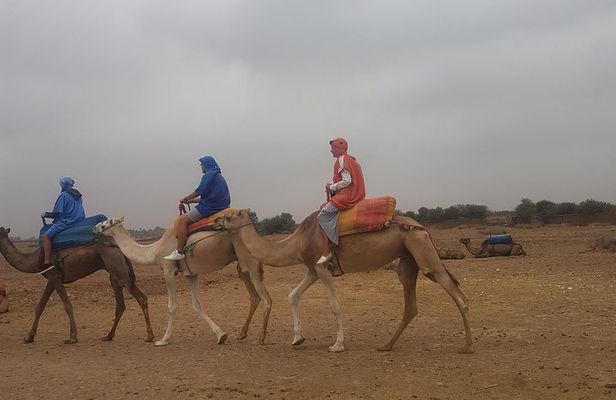Day trip from Marrakesh to atlas Mountains