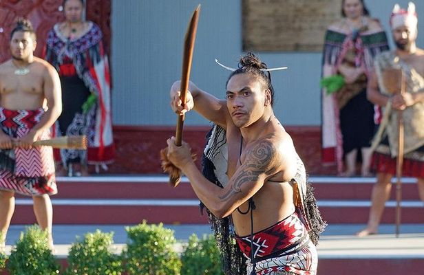 Rotorua Day Tour inc. Te Puia Tour, Lunch & Cultural Show