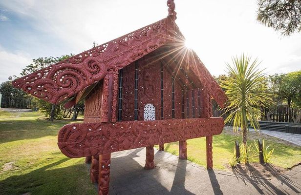 Waitomo Caves & Rotorua + Te Puia Small-Group Tour from Auckland