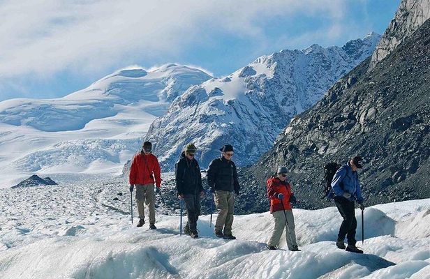 Mt Cook Small Group Scenic Day Tour from Queenstown